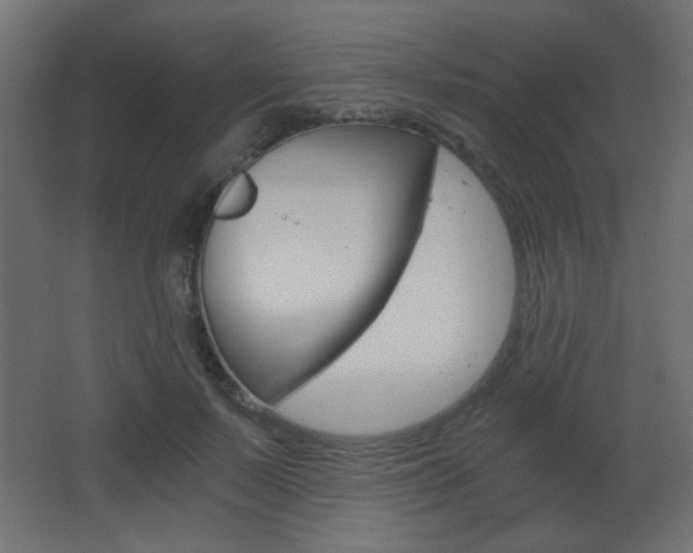 X0000068300695200604211011