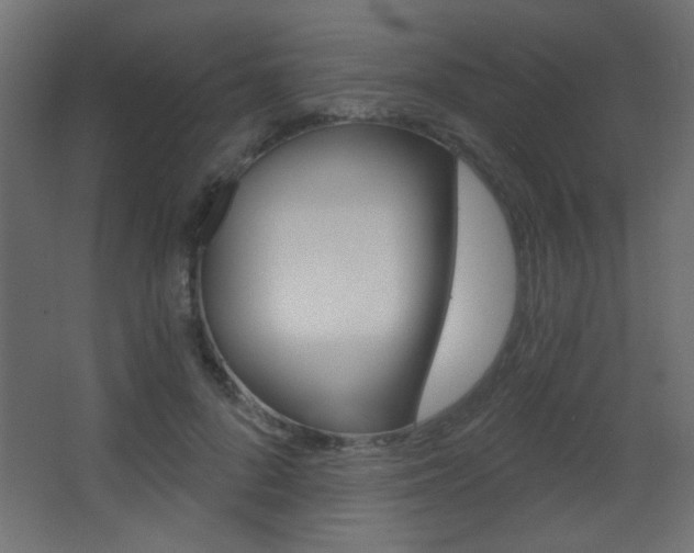 X0000068300696200604211011