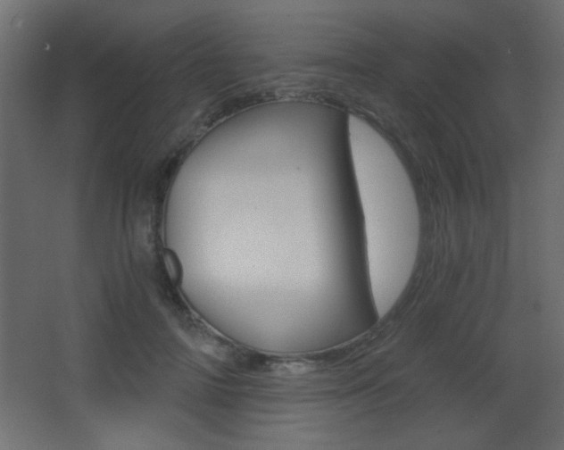 X0000068300698200604211011