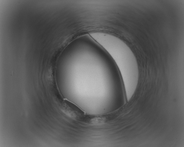 X0000068300700200604211011
