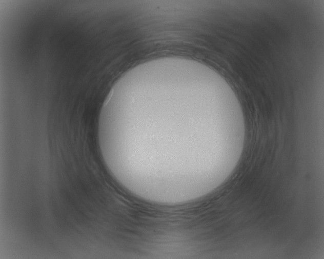 X0000068300701200604211011