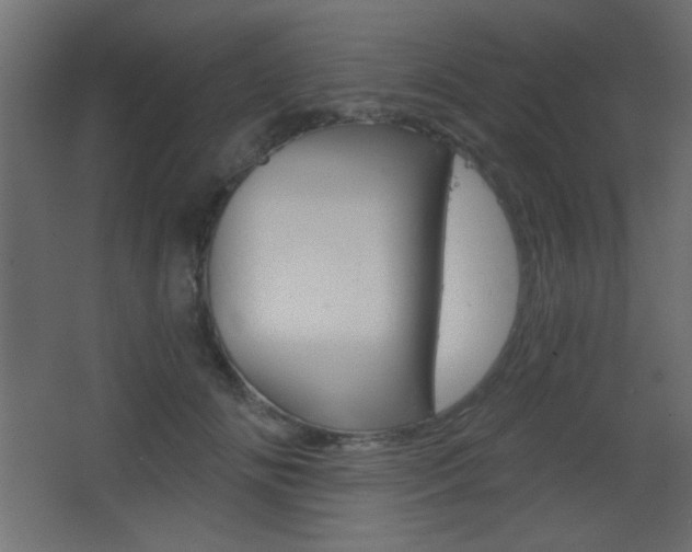 X0000068300702200604211011