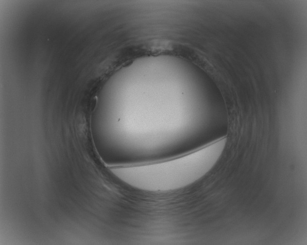 X0000068300704200604211011