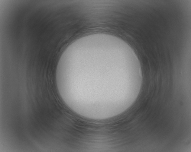 X0000068300705200604211011