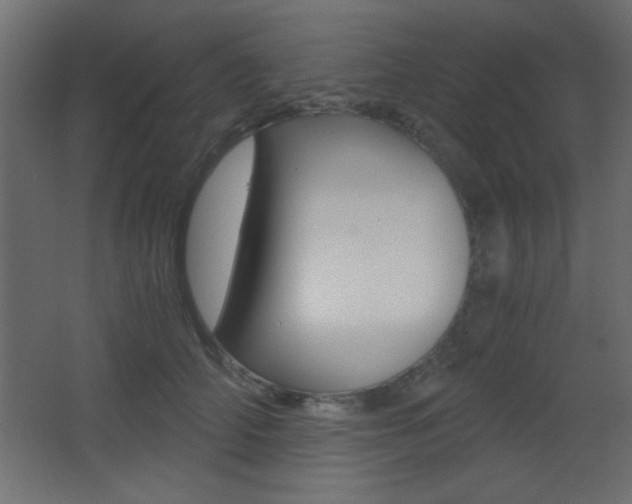 X0000068300706200604211011