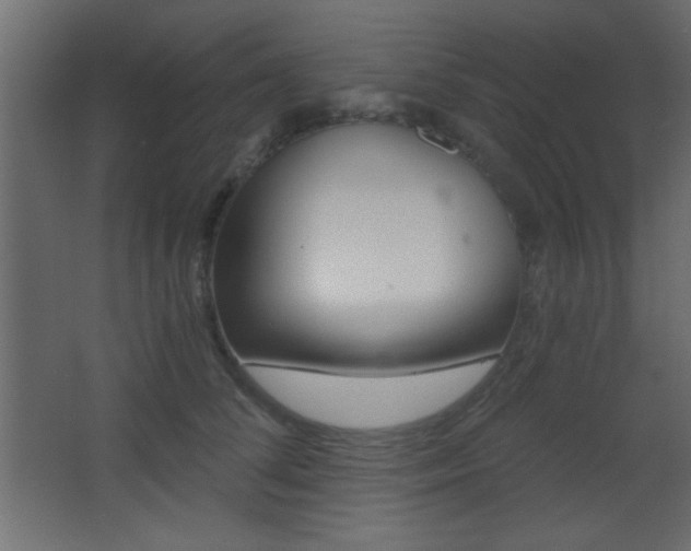 X0000068300708200604211011