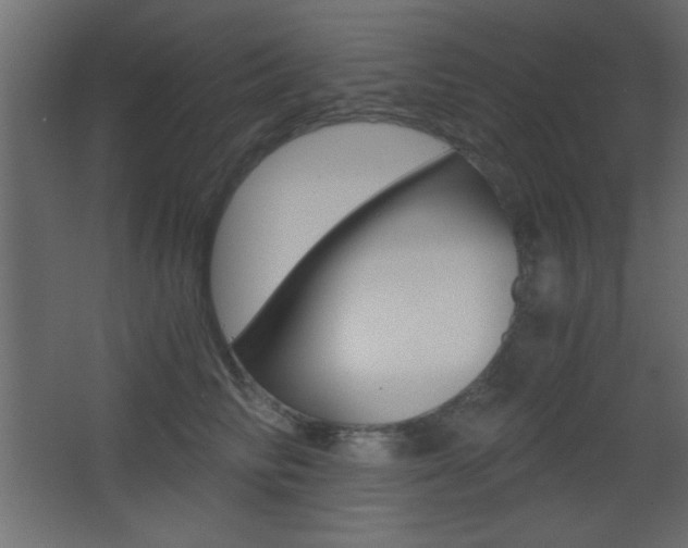 X0000068300710200604211011