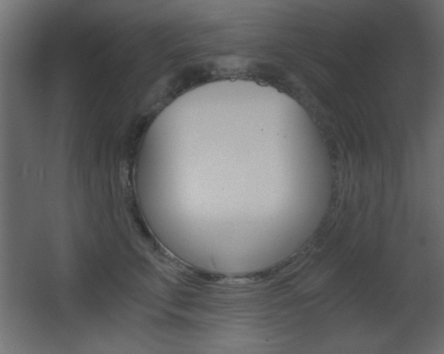 X0000068300711200604211011