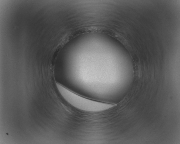 X0000068300712200604211011