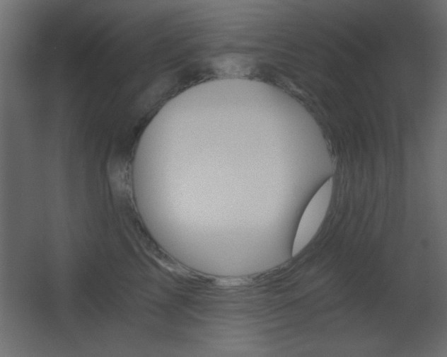 X0000068300713200604211011