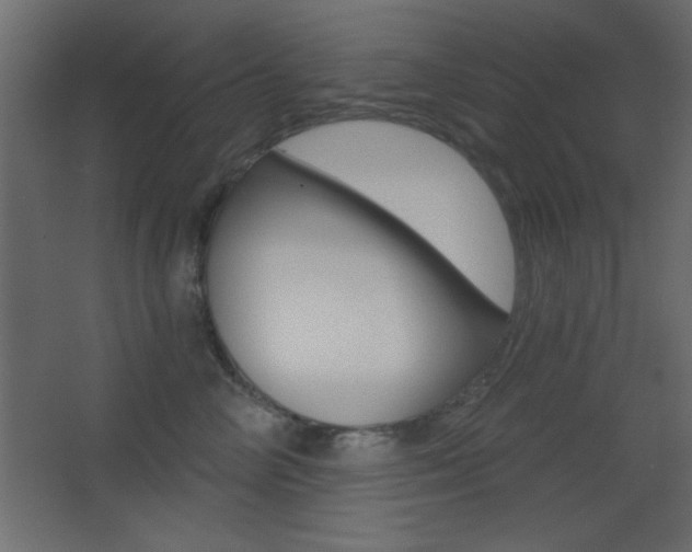 X0000068300714200604211011