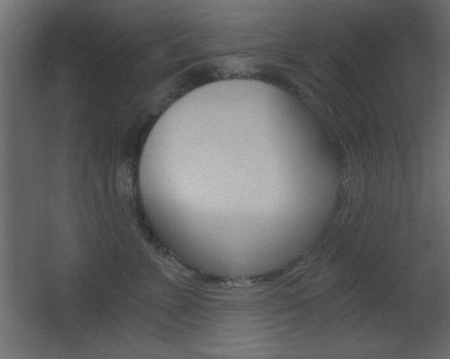 X0000068300715200604211011