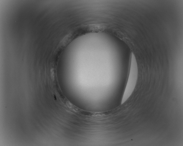 X0000068300716200604211011
