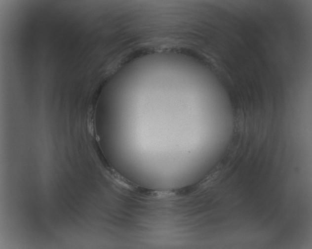 X0000068300719200604211011