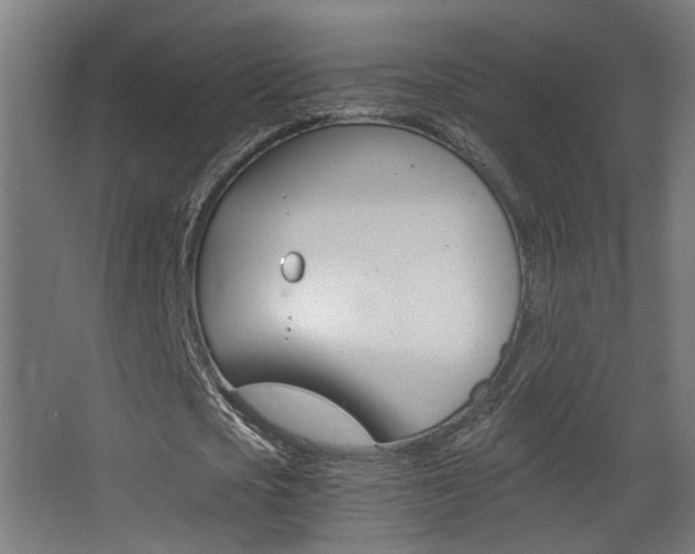 X0000068300721200604211010