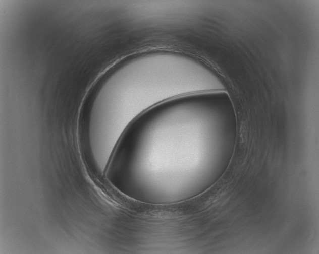 X0000068300722200604211010