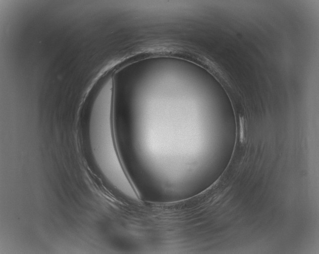 X0000068300723200604211010