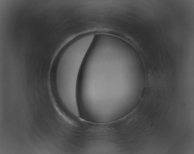 X0000068300726200604211010
