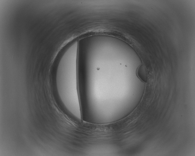 X0000068300727200604211010
