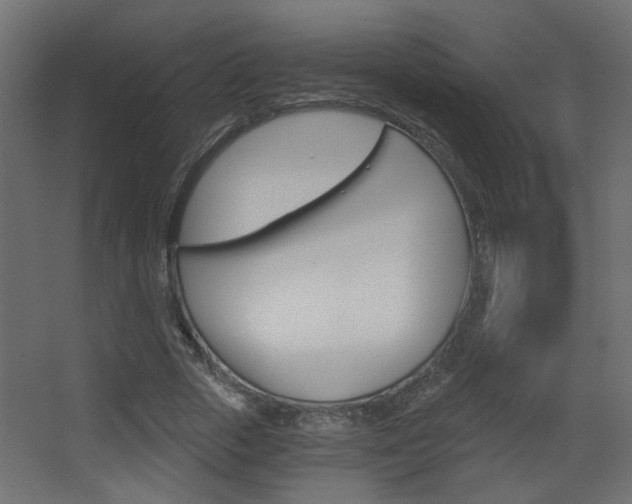 X0000068300729200604211010