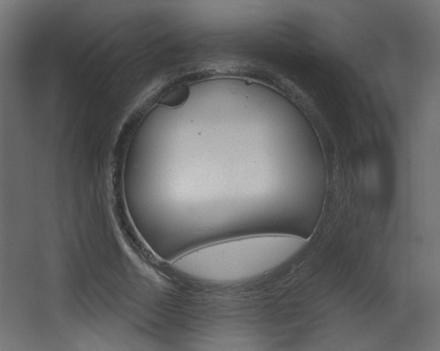 X0000068300730200604211010