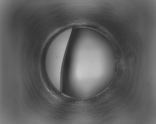 X0000068300732200604211010