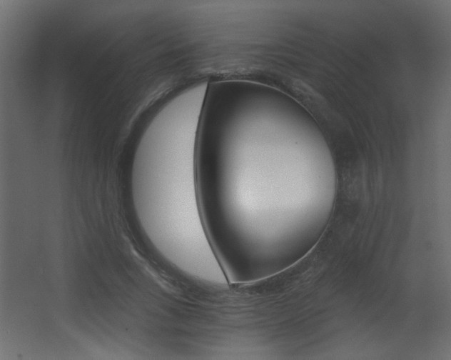 X0000068300735200604211010