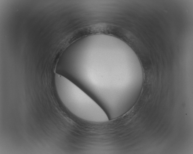 X0000068300737200604211010