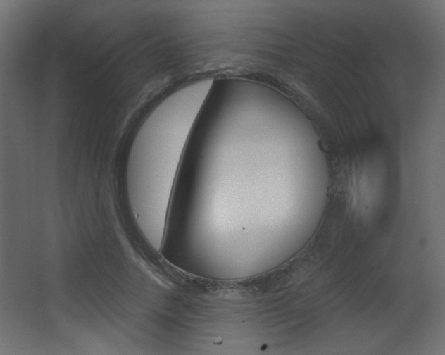 X0000068300738200604211010