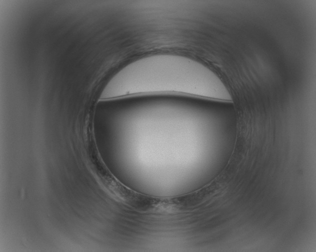 X0000068300742200604211010
