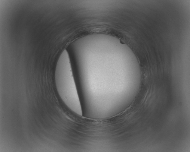 X0000068300745200604211010