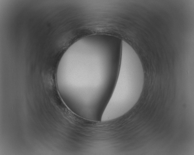 X0000068300746200604211010