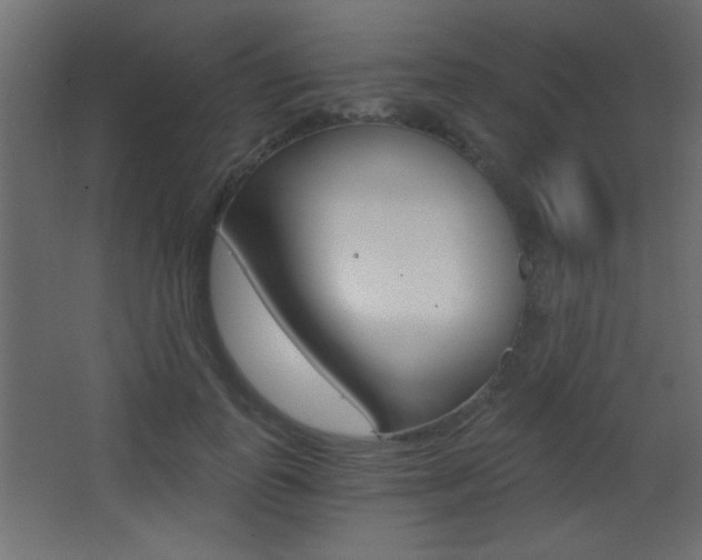 X0000068300747200604211010