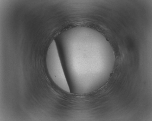 X0000068300749200604211010