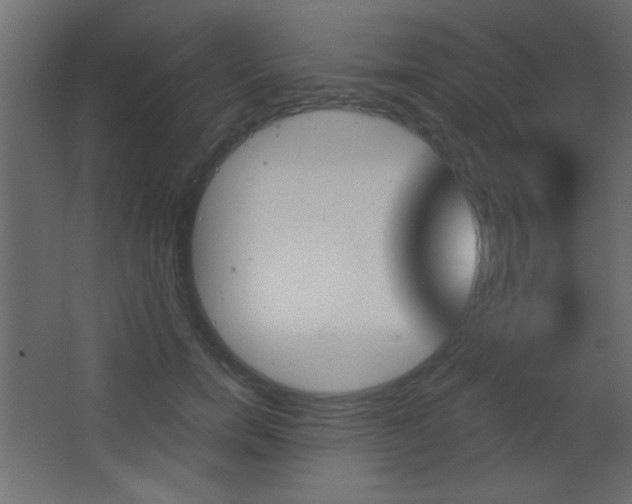 X0000068300750200604211010