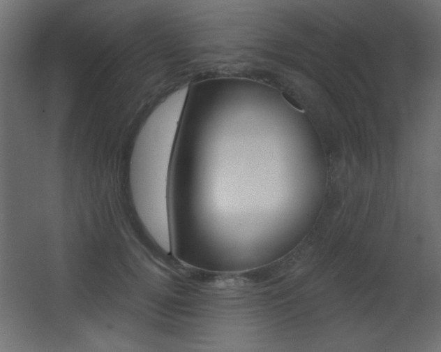 X0000068300752200604211010