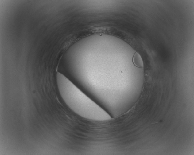 X0000068300753200604211010