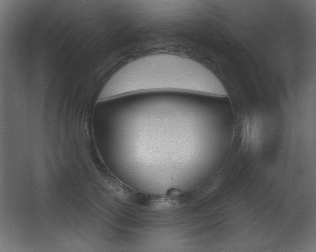 X0000068300754200604211010