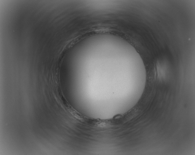 X0000068300755200604211010