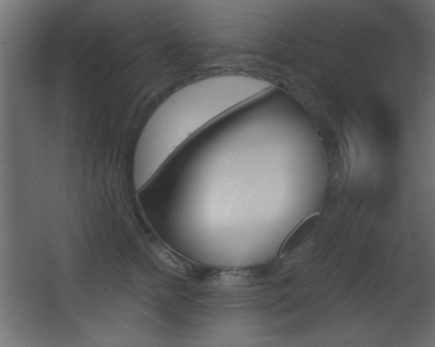 X0000068300758200604211010
