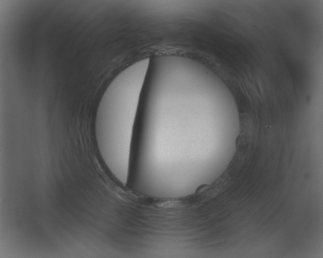 X0000068300761200604211010