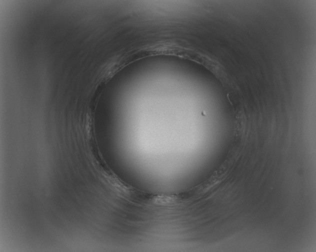 X0000068300762200604211010