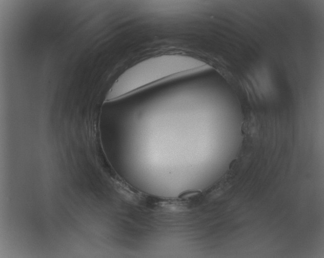 X0000068300763200604211010