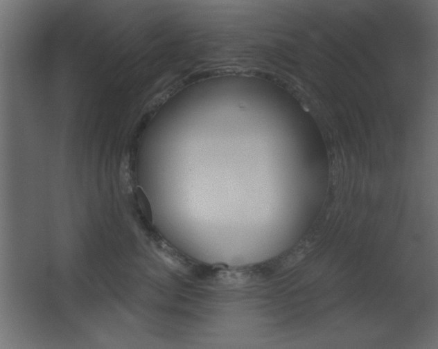 X0000068300764200604211010