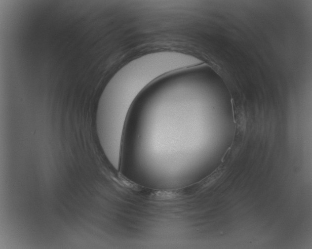 X0000068300766200604211010