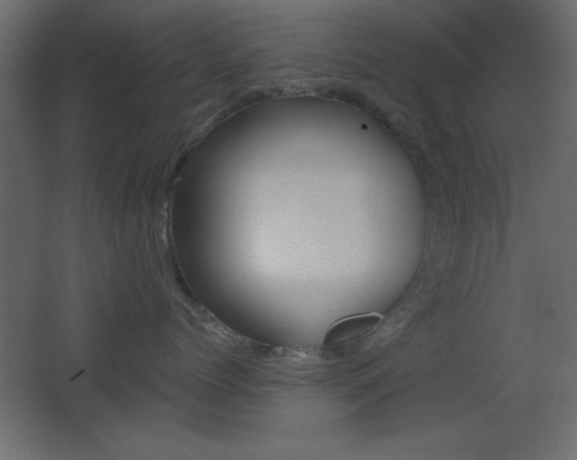 X0000068300768200604211011