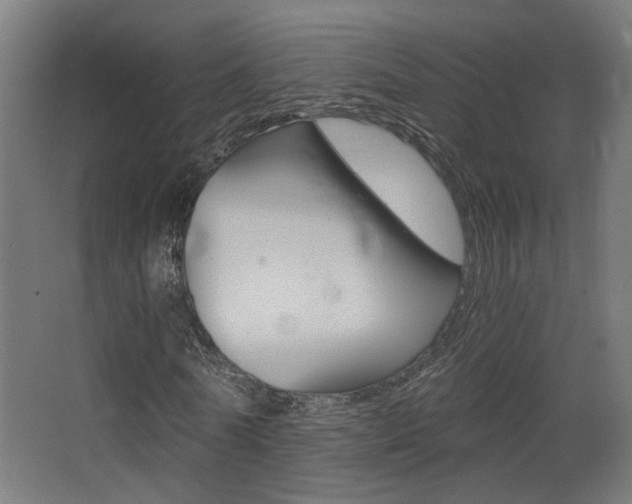 X0000068300770200604211010