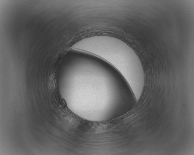 X0000068300772200604211010