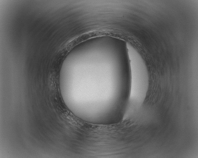 X0000068300773200604211010