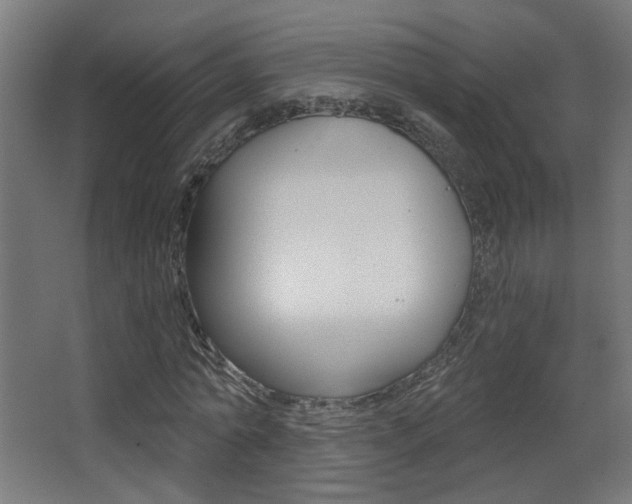 X0000068300774200604211010